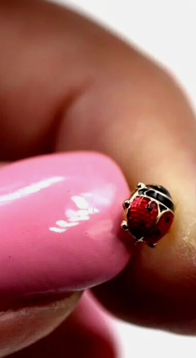 Genuine 9ct Yellow Gold Small Enamel Lady Bird Studs Earrings