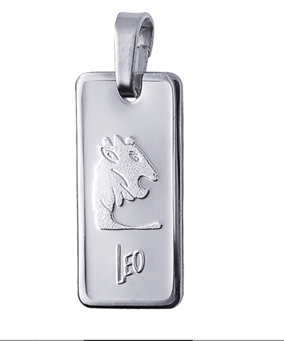 Genuine Fine Silver 2oz Rectangle Zodiac Pendant - All star signs available