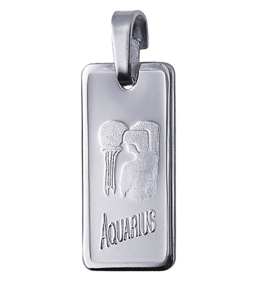 Genuine Fine Silver 2oz Rectangle Zodiac Pendant - All star signs available