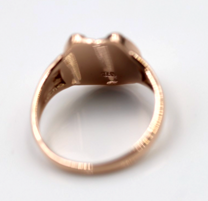 Genuine Solid Large 9ct 9kt Yellow, Rose or White Gold 375 Lucky Horseshoe Ring