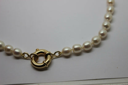 Genuine 9ct Yellow Gold 18mm bolt ring freshwater pearl chain necklace