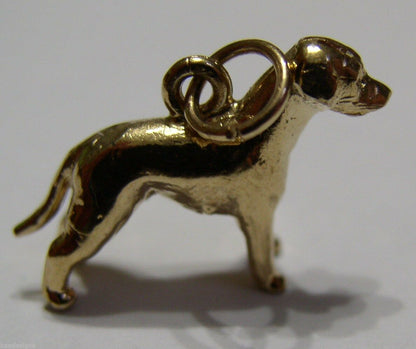 Kaedesigns, New 3D 9ct 375 Yellow Or Rose Or White Gold Dog Charm Or Pendant