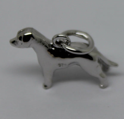 Kaedesigns, New 3D 9ct 375 Yellow Or Rose Or White Gold Dog Charm Or Pendant