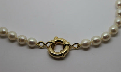 Genuine 9ct Yellow Gold 18mm bolt ring freshwater pearl chain necklace