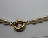 9ct Yellow Gold 18mm bolt ring freshwater pearl chain necklace