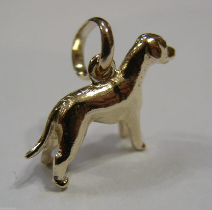 Kaedesigns, New 3D 9ct 375 Yellow Or Rose Or White Gold Dog Charm Or Pendant